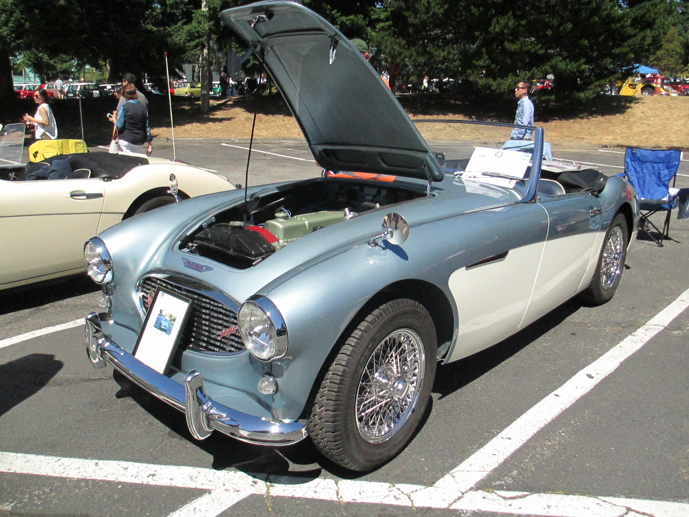 Healey_2.JPG